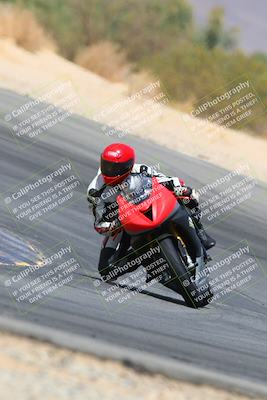 media/Apr-10-2022-SoCal Trackdays (Sun) [[f104b12566]]/Turn 10 (1pm)/